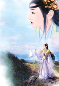 公用的A级向导